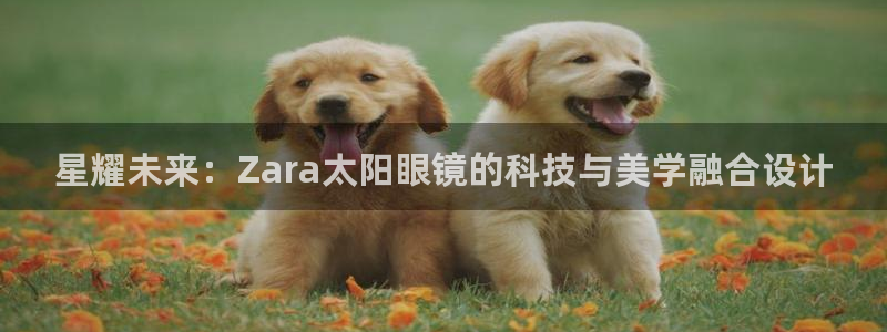 新宝5现在还能玩吗