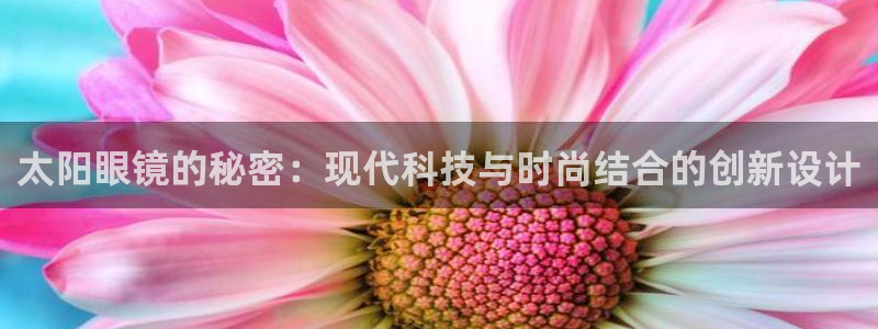 新宝5彩票平台登陆