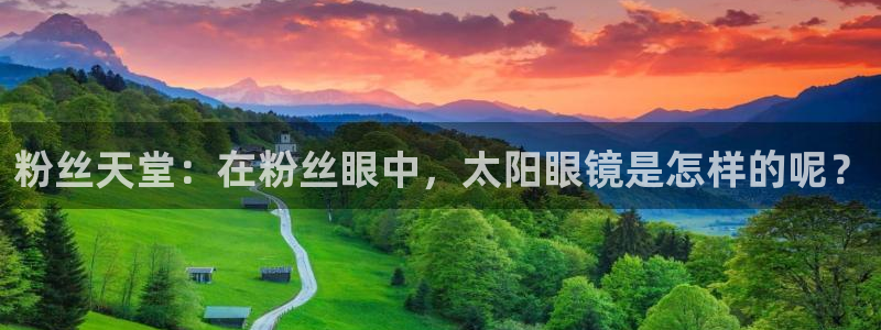 新宝5怎么代理