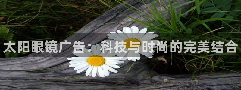 新宝5官网平台