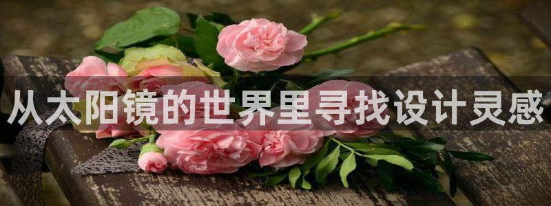 新宝5怎么代理