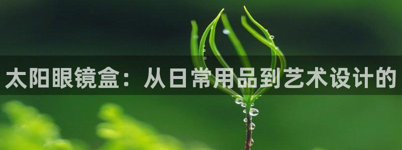新宝5分彩