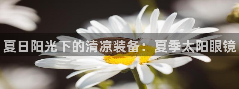 新宝cR一5