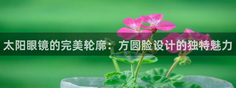 新宝5下载app