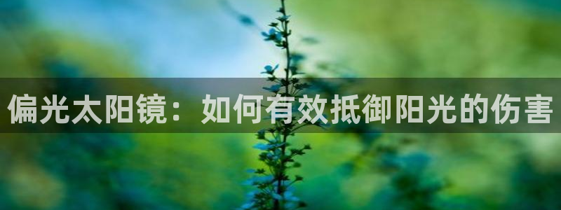 新宝5官方网站