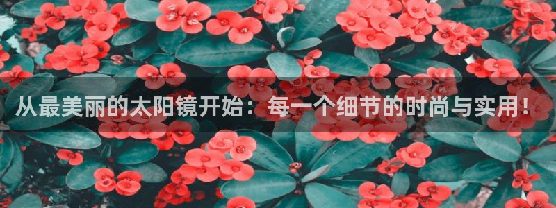 新宝5球维33 300