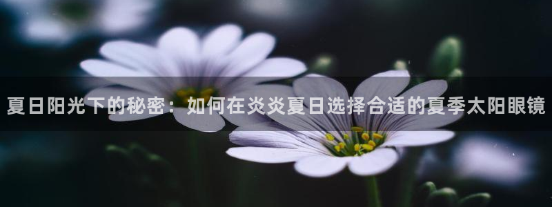 新宝5测速在线