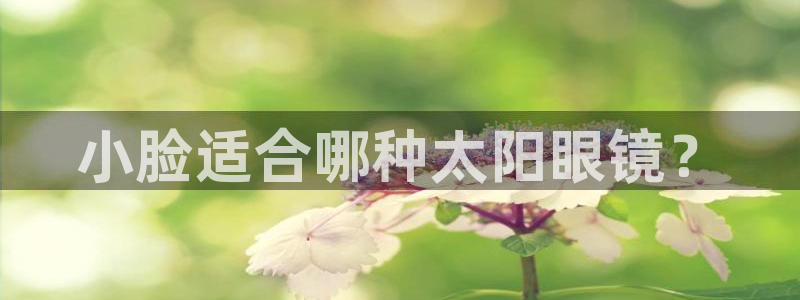 新宝5公司