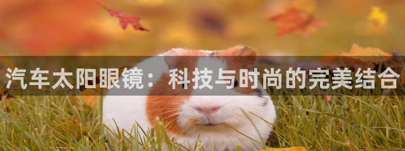 新宝5新宝6顺达