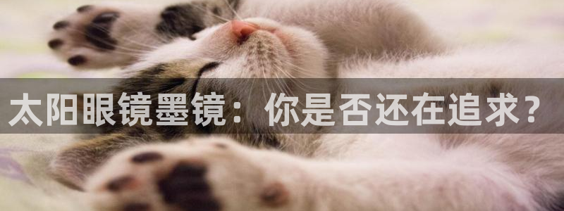 新宝股东张听2 5 5